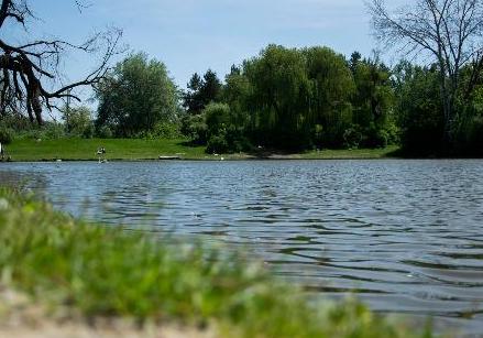 В Полтаве собрались обследовать ставки: их не чистили более 30 лет