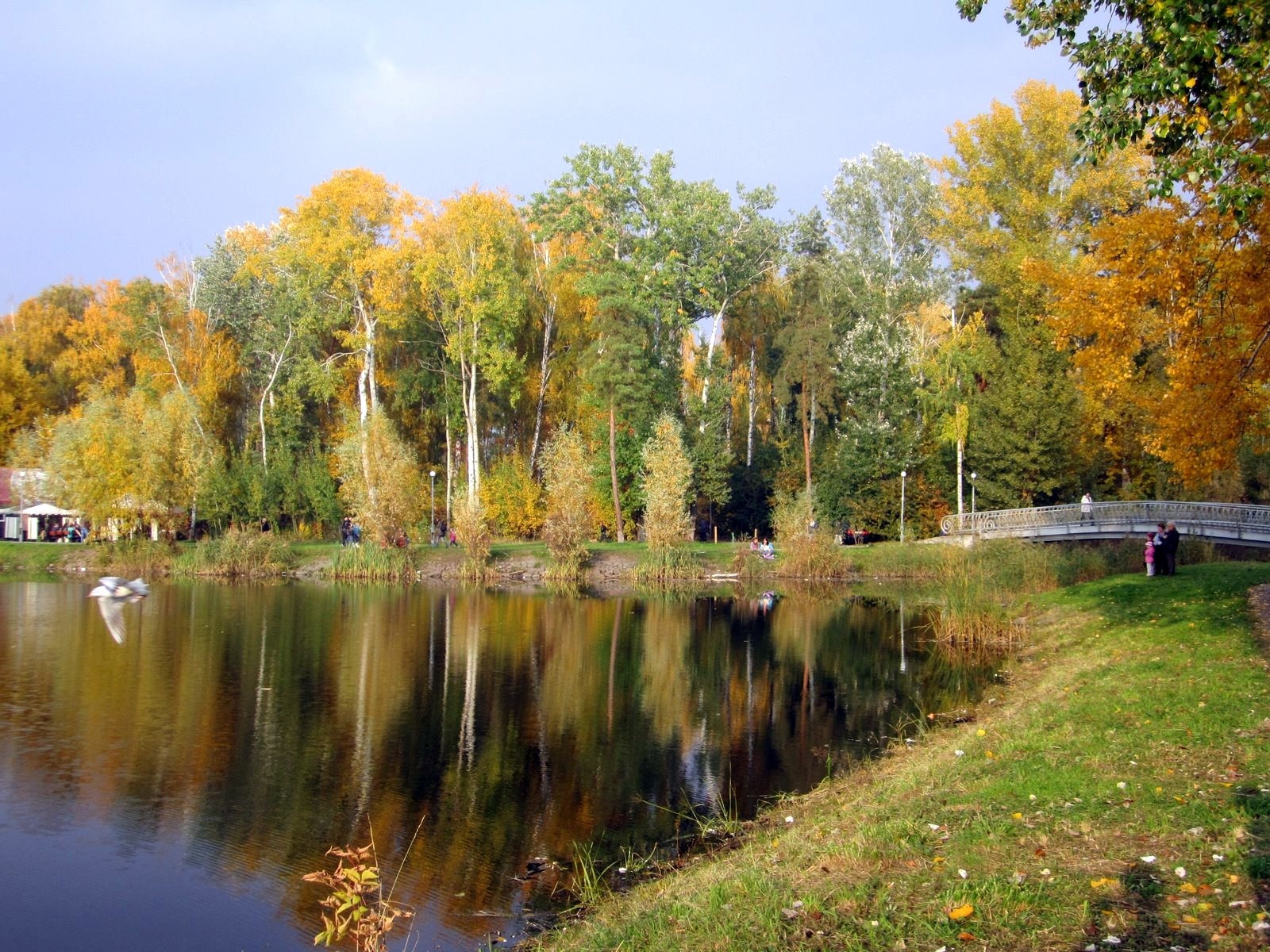 Камеры, Wi-Fi и фонтаны: что планируют сделать в парках Днепровского района в этом году