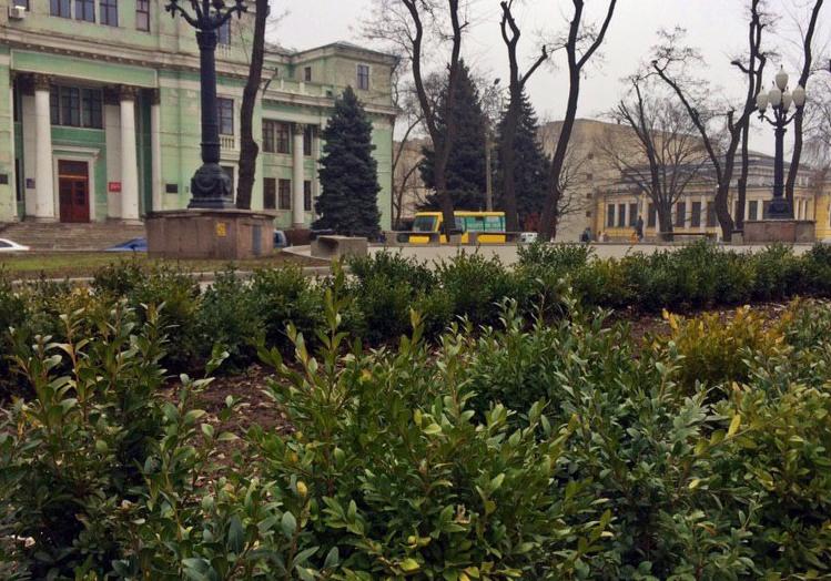 В Днепре на проспекте высадили новые растения / фото urban.dnipro
