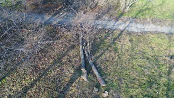 Кому-то не спится: на территории санатория 