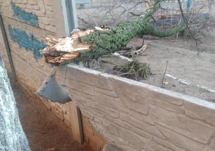 В Днепре на левом берегу дерево упало в детский сад / фото: Ларища Ищенко, fb Райончик