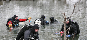 К Рождеству дайверы украсили подводный лес
