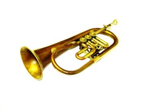 Теперь у музыкантов дело – труба!
Фото с сайта www.sxc.hu