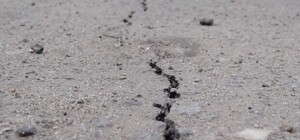 Днепропетровский асфальт трескается, не выдержав морозов 