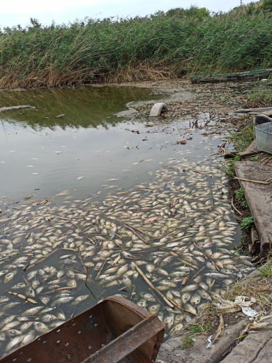 Ситуация выглядит пугающе / фото: dnp.darg.gov.ua