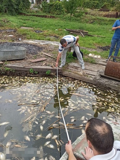 Рабы погибла на площади 10 гектар / фото: dnp.darg.gov.ua