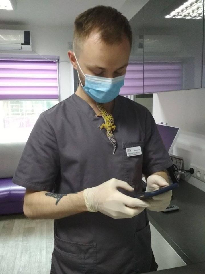 У питомицы уже все хорошо, она была на последнем приеме в клинике "Акела" / фото: fb Ольга Туренко