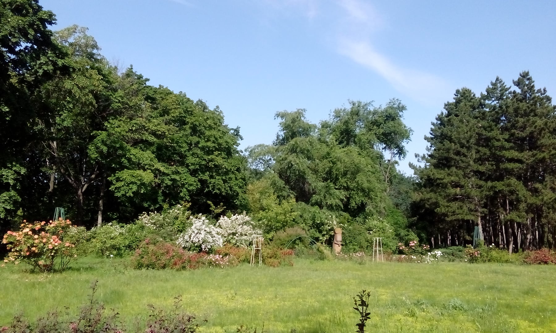 Ботсад ДНУ будет работать в субботу / фото: fb-страница ботанического сада