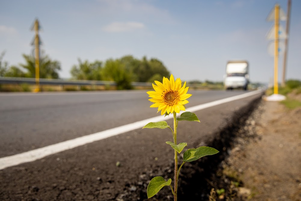 На трассе Днепр-Павлоград ремонтируют 16 мостов фото 4 3