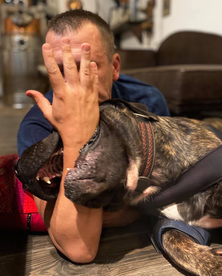 Собачка, конечно, внушительных размеров / фото: fb Бориса Филатова