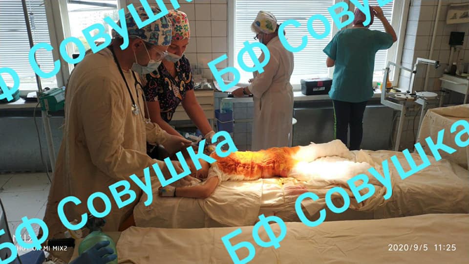 Девочка в крайне тяжелом состоянии / фото: fb Александра Сова-Тимощенкова