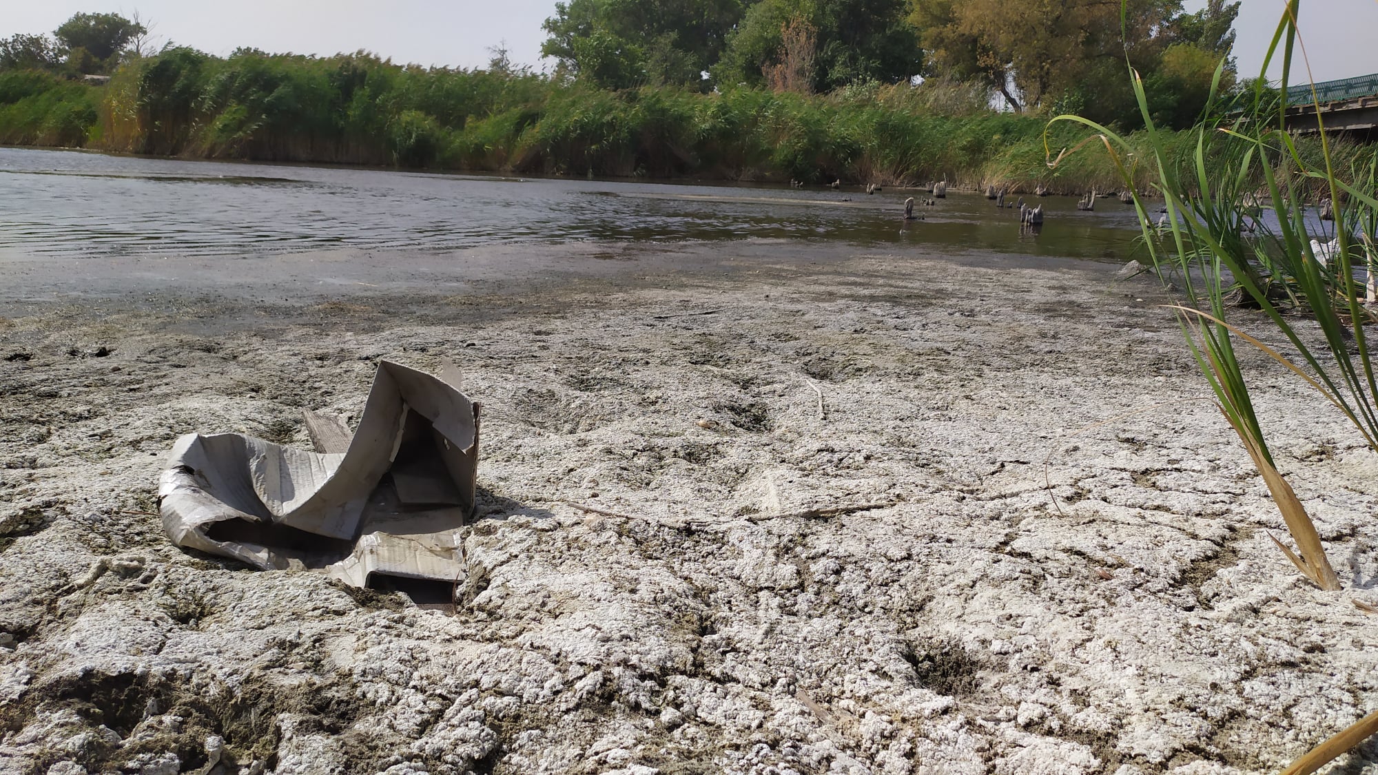 А теперь погибает рыба / фото: fb Андрей Суворкин