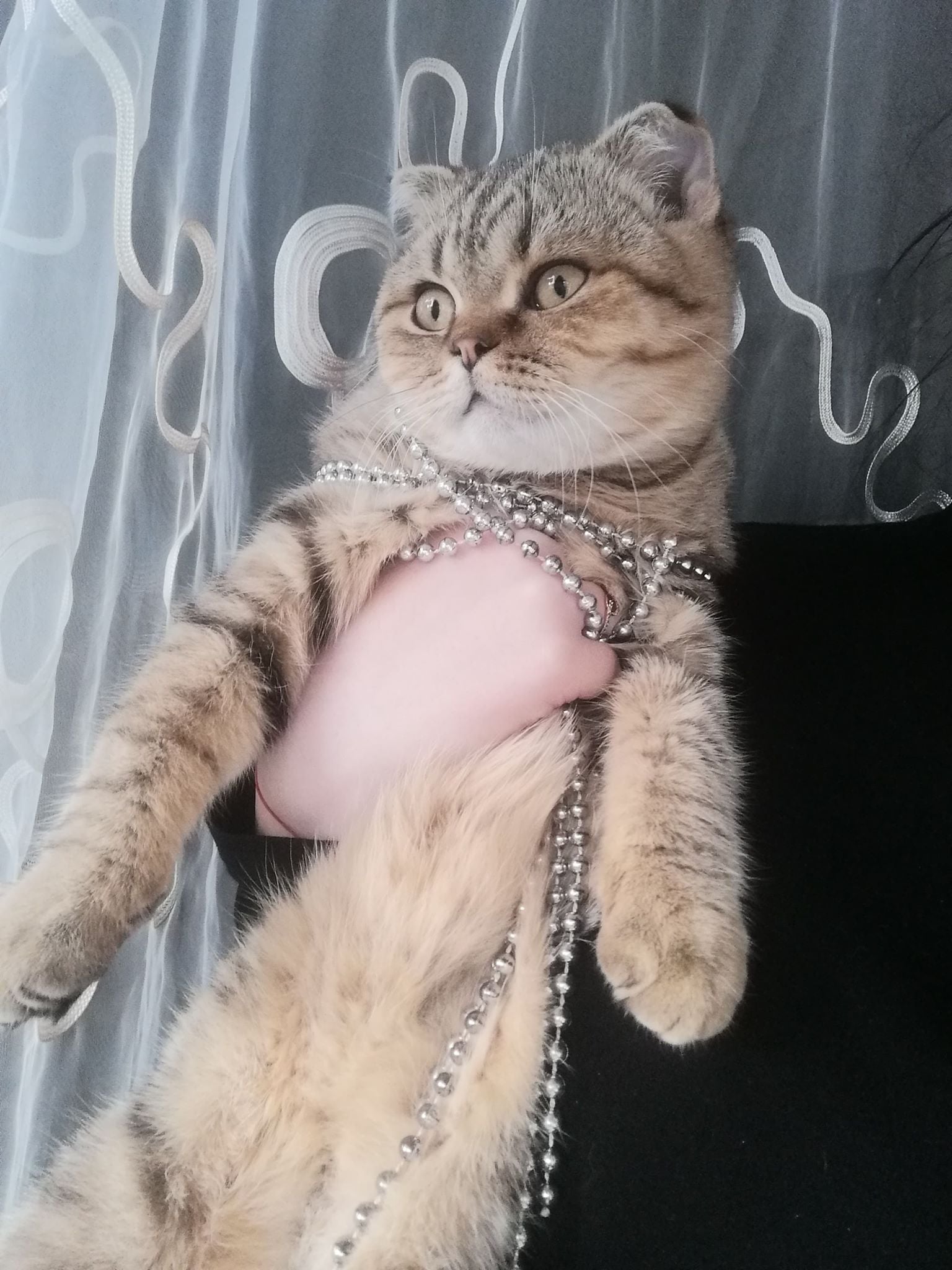 Малыш был любимцем семьи / фото: fb Татьяна Мороз