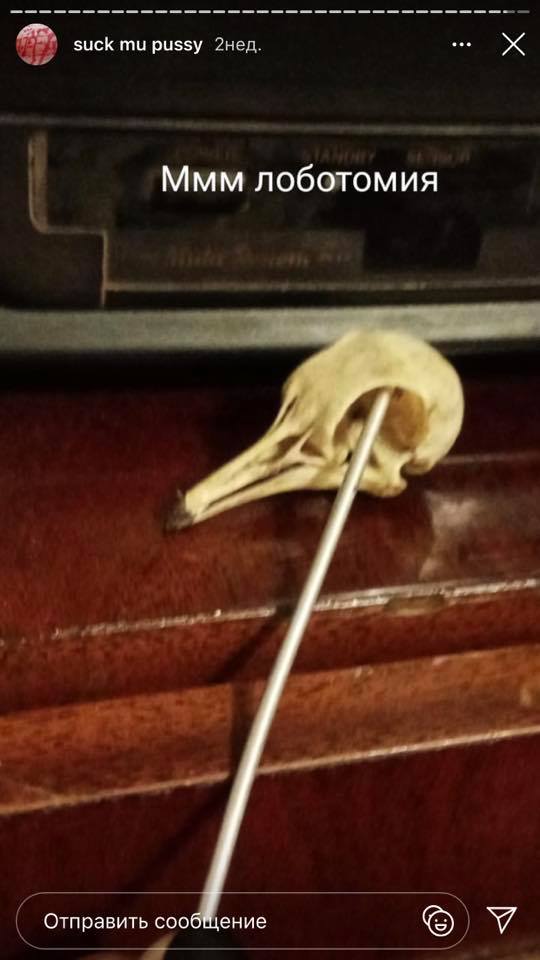 И фото черепа / фото: fb Дарья Медведева