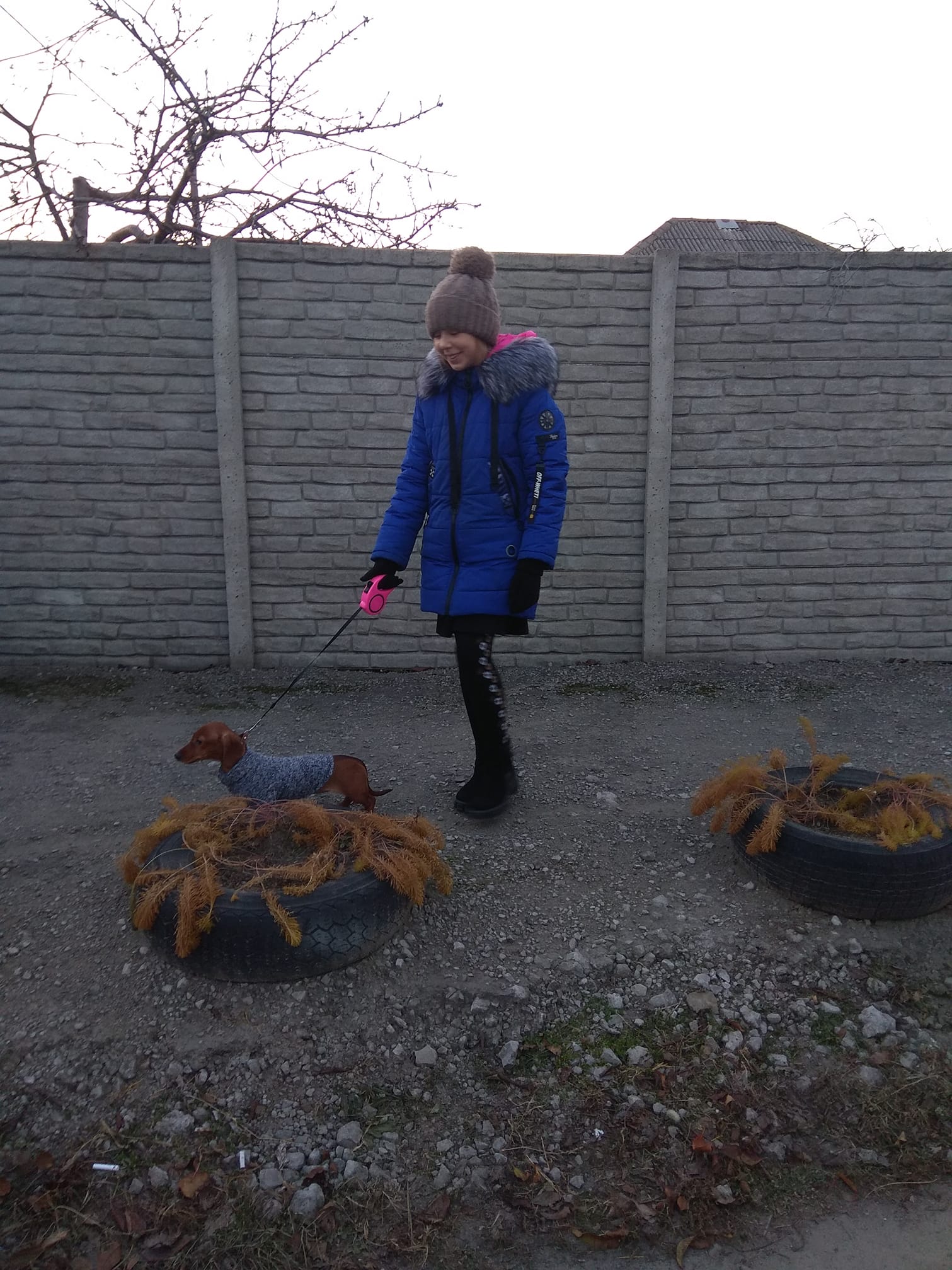 Пропавший щенок / фото: fb Юлия Булгакова