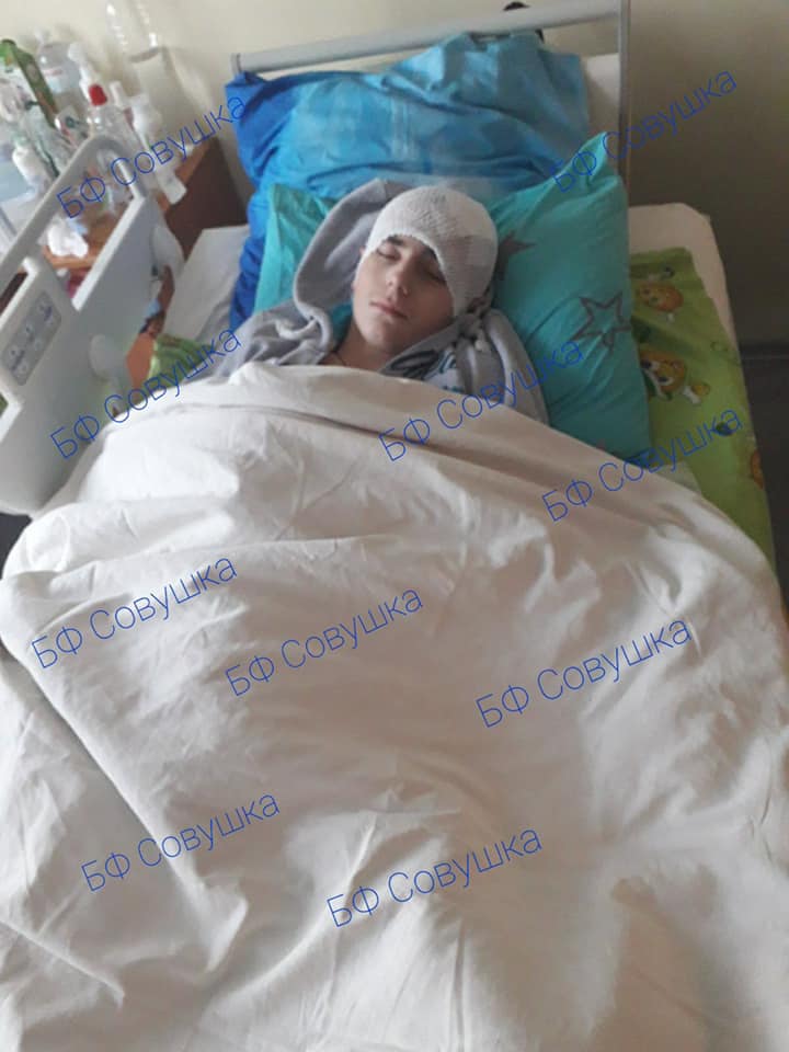 Пострадавший Костя / фото: fb БФ Совушка