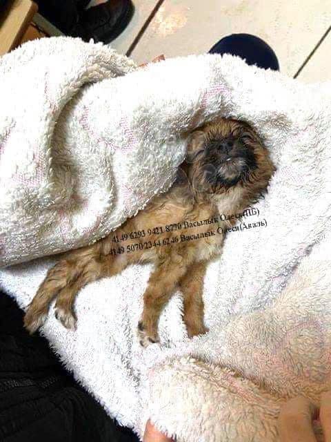 Малышка Вронки год назад 