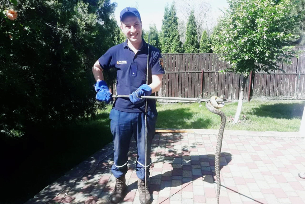 Во дворе была очень большая змея / фото: ГСЧС