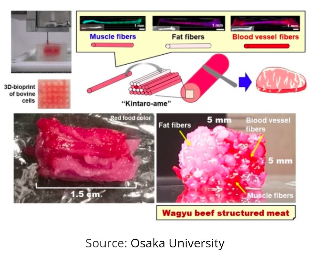 Вот так создавали мясо на 3д-принтере / источник: Университет Осаки