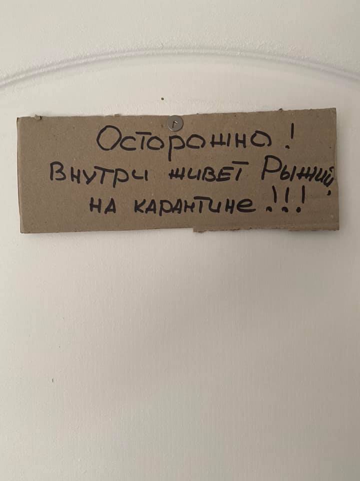 "Полная паскуда и негодяй": Филатов рассказал про своего рыжего кота фото 1