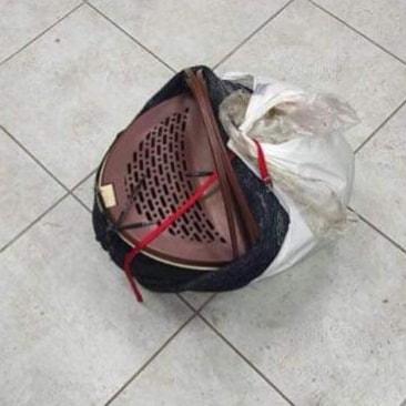 Переноску нашли на улице