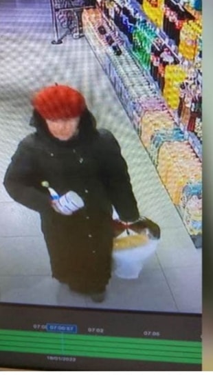 Последний раз женщину видели с переноской, в которой она несла кошку.