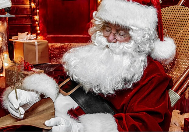 Волшебное путешествие в зимнюю страну BERRYLAND - фото из афиши