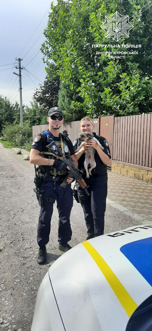 Йорк повернувся до господарки -