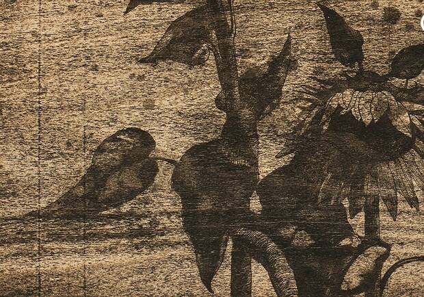 Выставка Оксаны Стратийчук "Мокулито" / фото из афиши