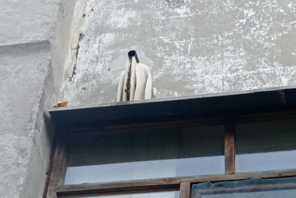 Вот так выглядело это гнездо / фото: ГСЧС