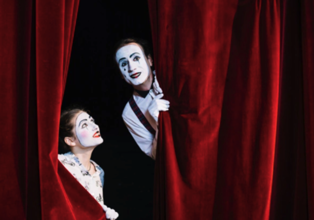 Цирк "Новогодний карнавал"