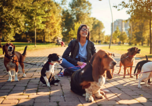 В Днепре пройдет шествие с собаками - фото depositphotos.com