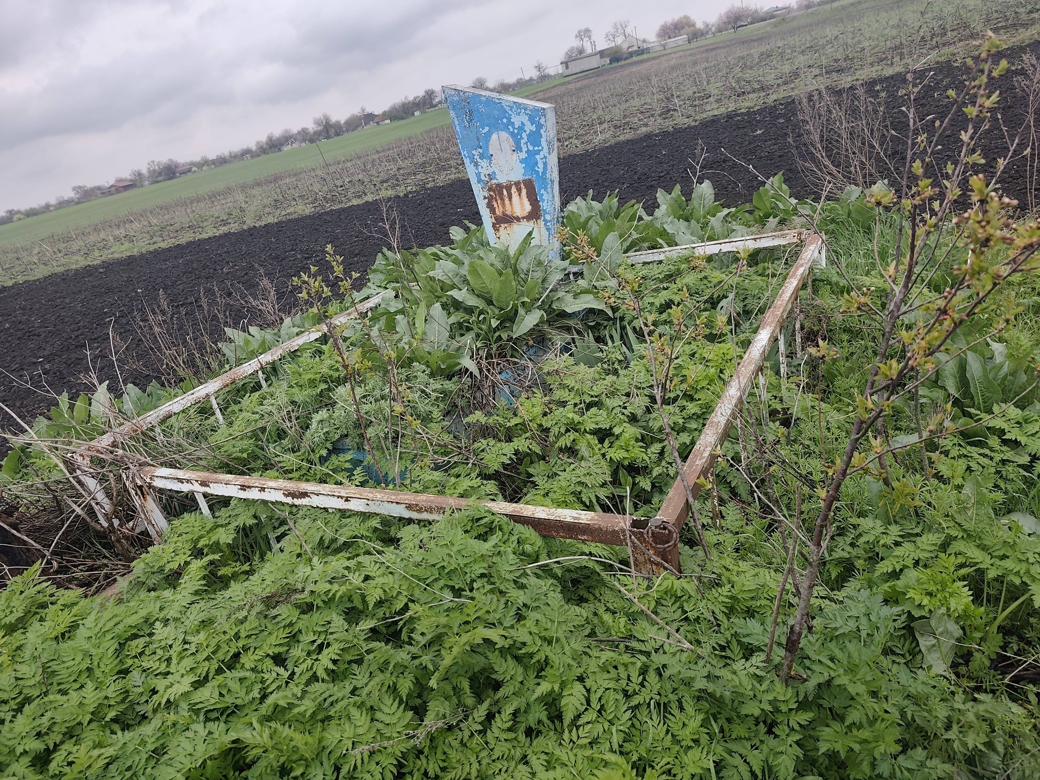 Могила в поле;