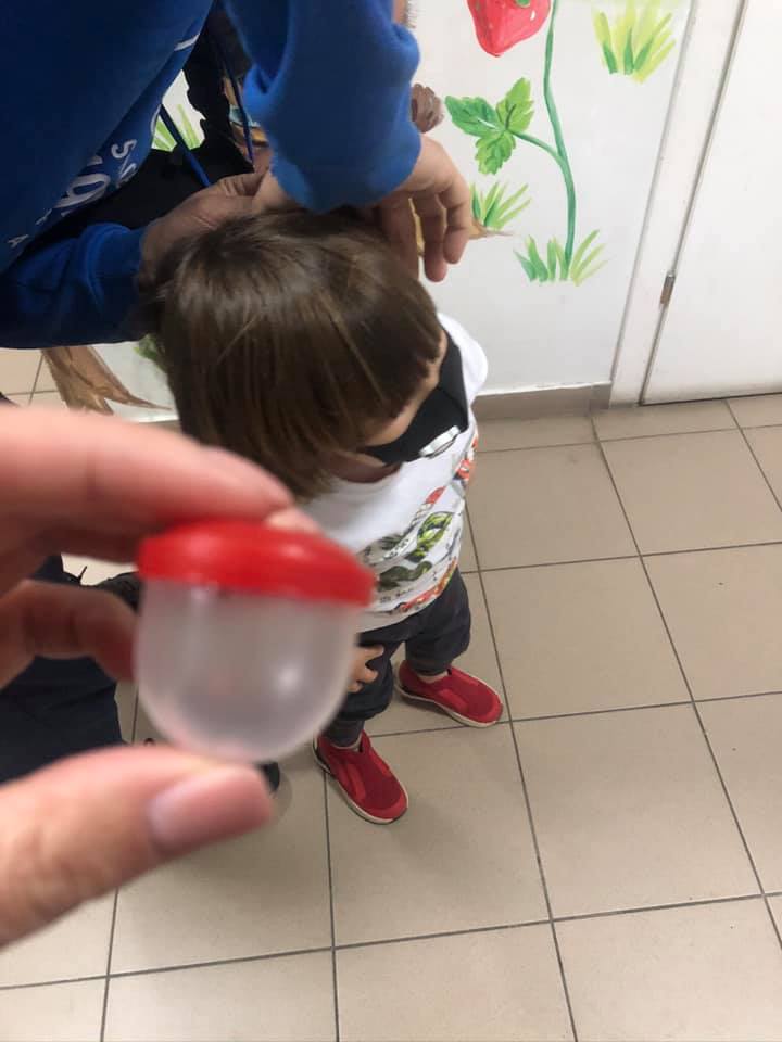 Клеща отдали в коробочке / фото: fb Яна Демченко&lrm; ж/м Сокіл, м. Дніпро