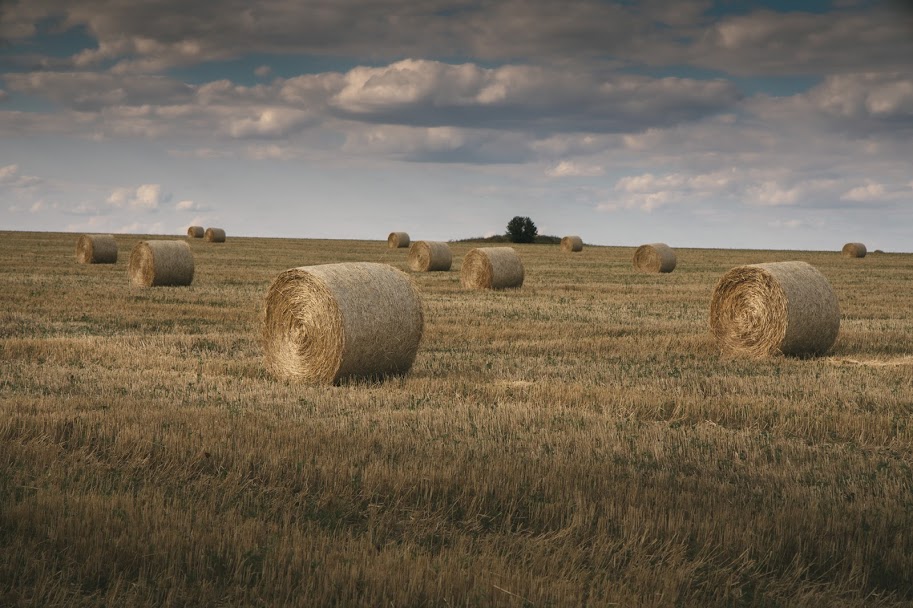 Новые авто для медиков и полицейских, успехи паралимпийцев, рекордный урожай: что нового в регионе фото 6 5