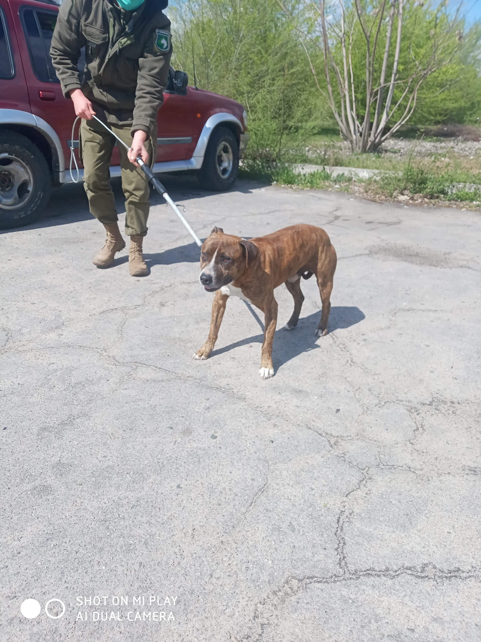 Пес был в стрессе, отказывался от еды / фото: fb КП "Зооконтроль"