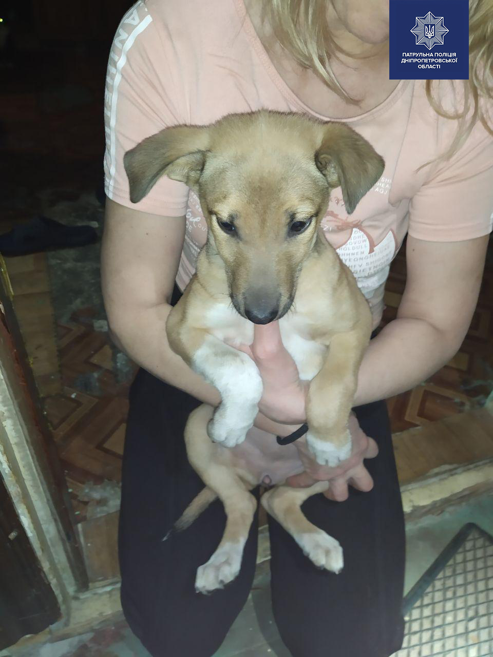Щенулю забрала соседка / фото: патрульная полиция Днепра