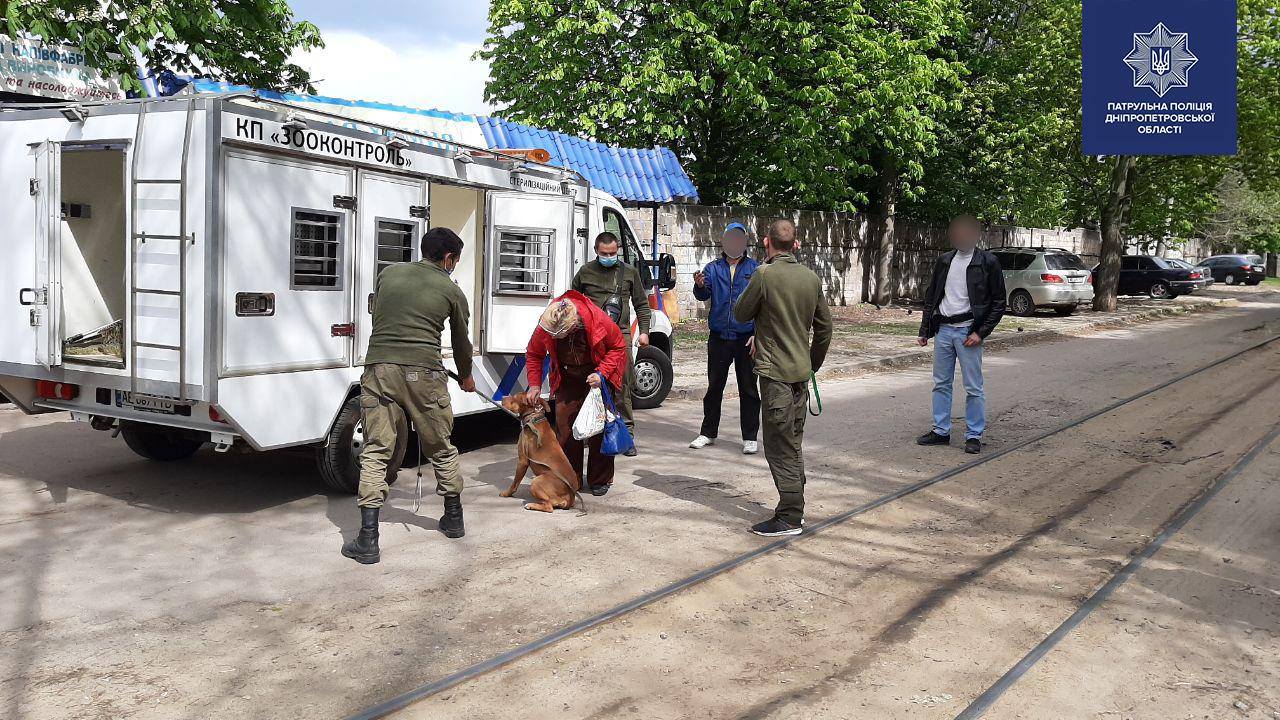 У хозяина забрали собаку в КП "Зооконтроль" / фото: пресс-служба патрульной полиции