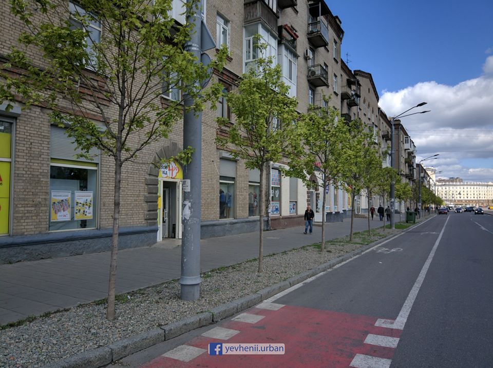 Зато остальные зелененькие и красивые / фото: fb Евгений Удовиченко