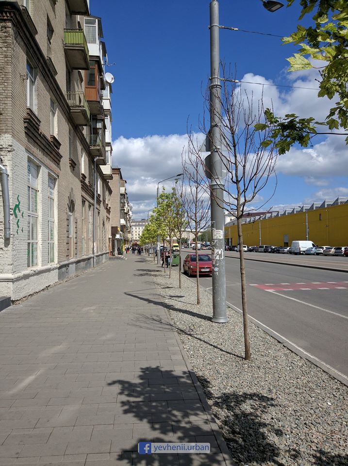 Три голых платана так и не прижились / фото: fb Евгений Удовиченко