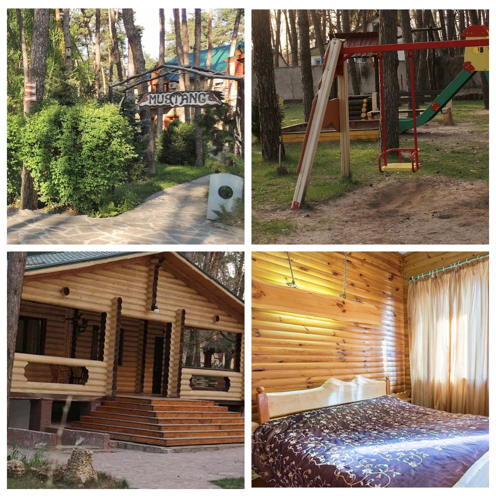 Мустанг / фото со страниц в соцсетях комплекса "Мустанг"