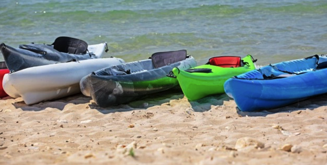 Диевские плавни на каяках - фото freepik.com