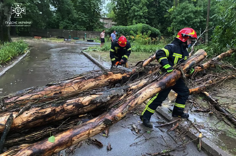 На Дніпропетровщині через негоду потрапляли дерева -