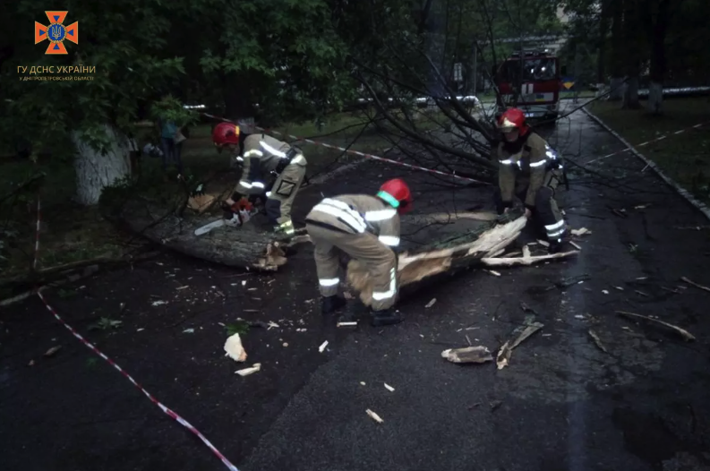 На Дніпропетровщині через негоду потрапляли дерева -