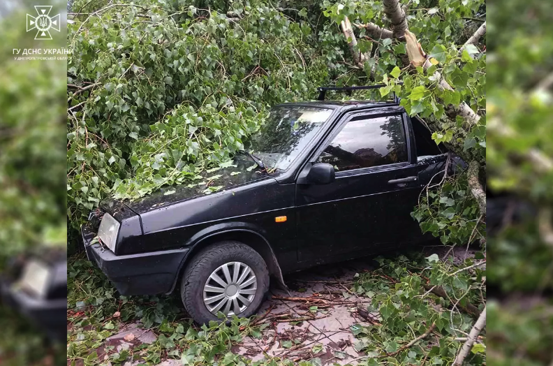 На Дніпропетровщині через негоду потрапляли дерева -