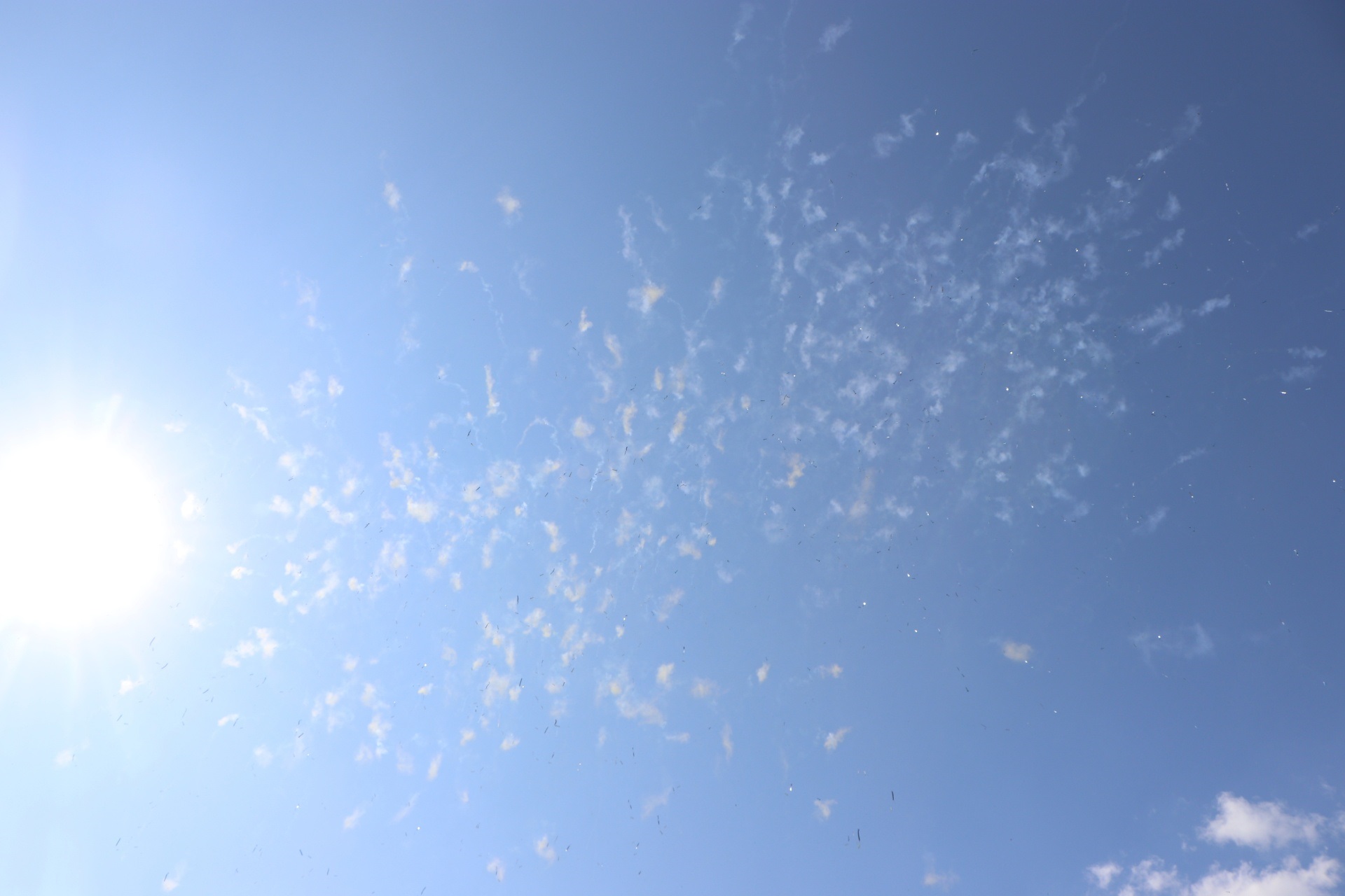 В Днепре на аэродроме Каменка установили рекорд Украины / фото: мэрия