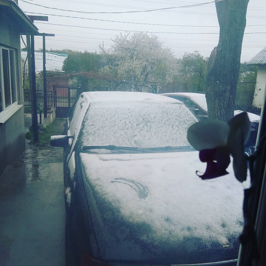 Снег выпал 15 апреля в Днепре / фото: @imoskalets