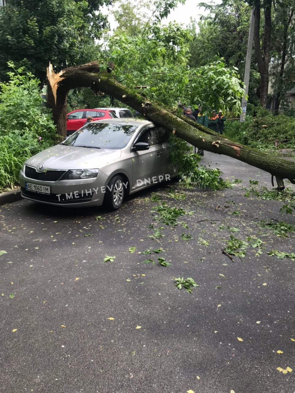 На Стромцкова дерево упало на авто 