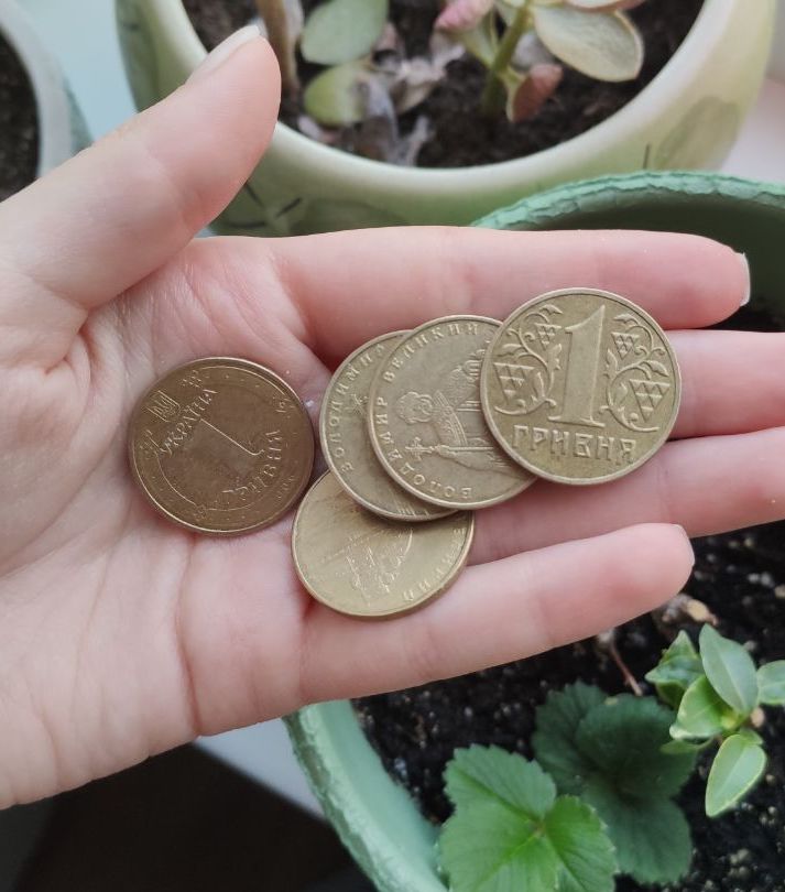 Монетами номиналом в 1 гривну / фото: Vgorode
