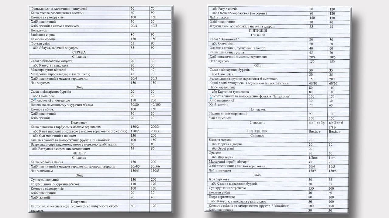 Гратен, пудинг и чахохбили: чем будут кормить детей в школах и детсадах Днепра фото 2 1